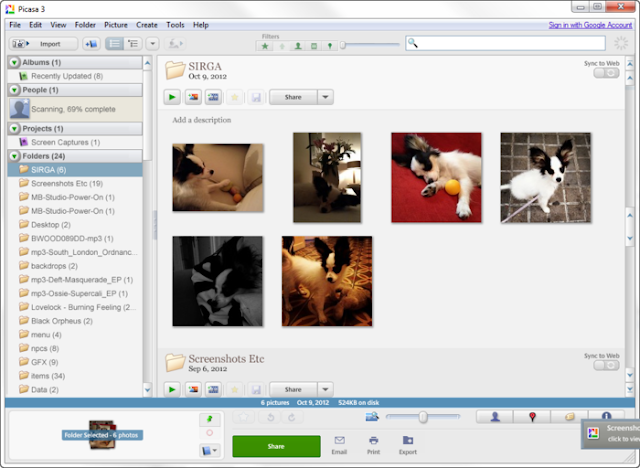 Picasa instal the new version for ipod
